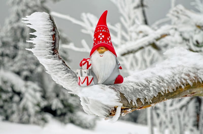 Garden Gnome